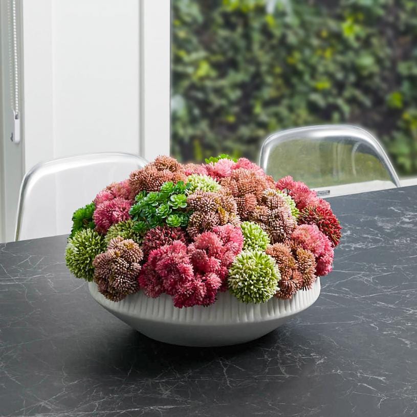 Succulent Black Flower Pot — detail view | Judaica Square Lakewood