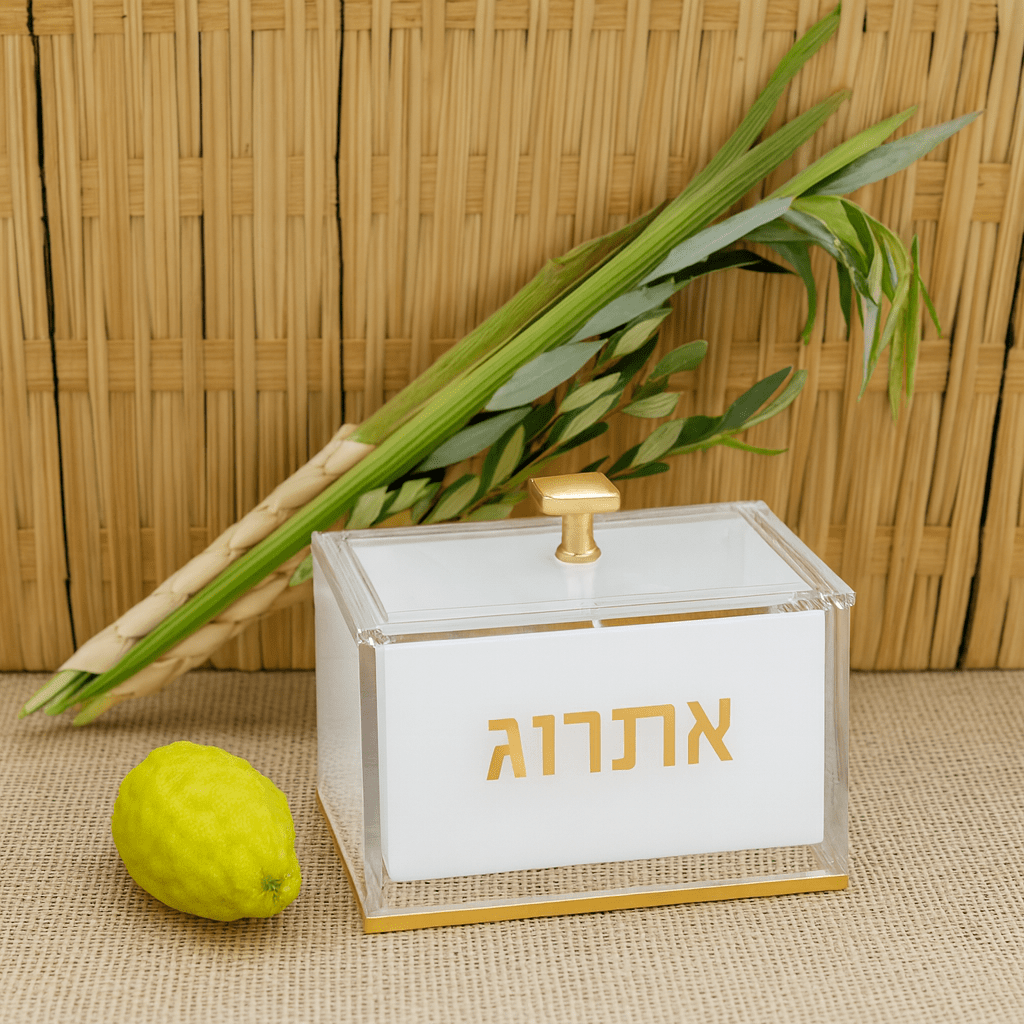 Suspended Esrog Box | Judaica Square Lakewood