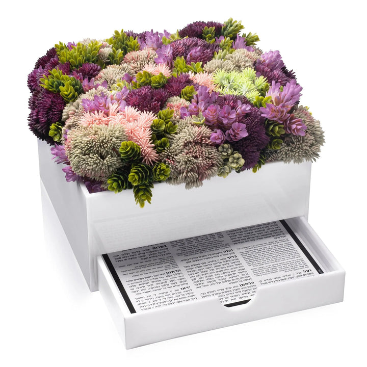 Succulent Bencher Set — Bencher Set