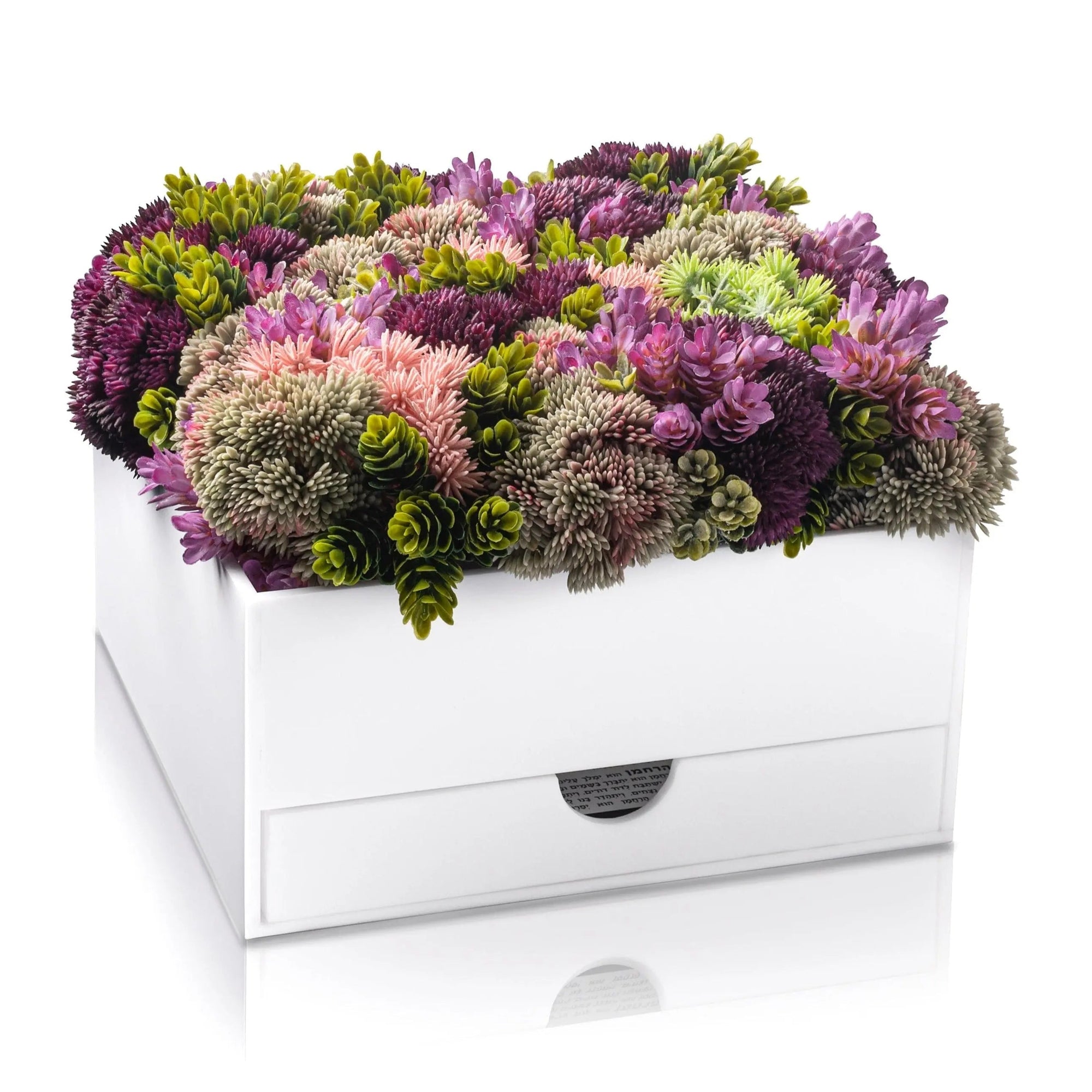 Succulent Bencher Set | Judaica Square Lakewood