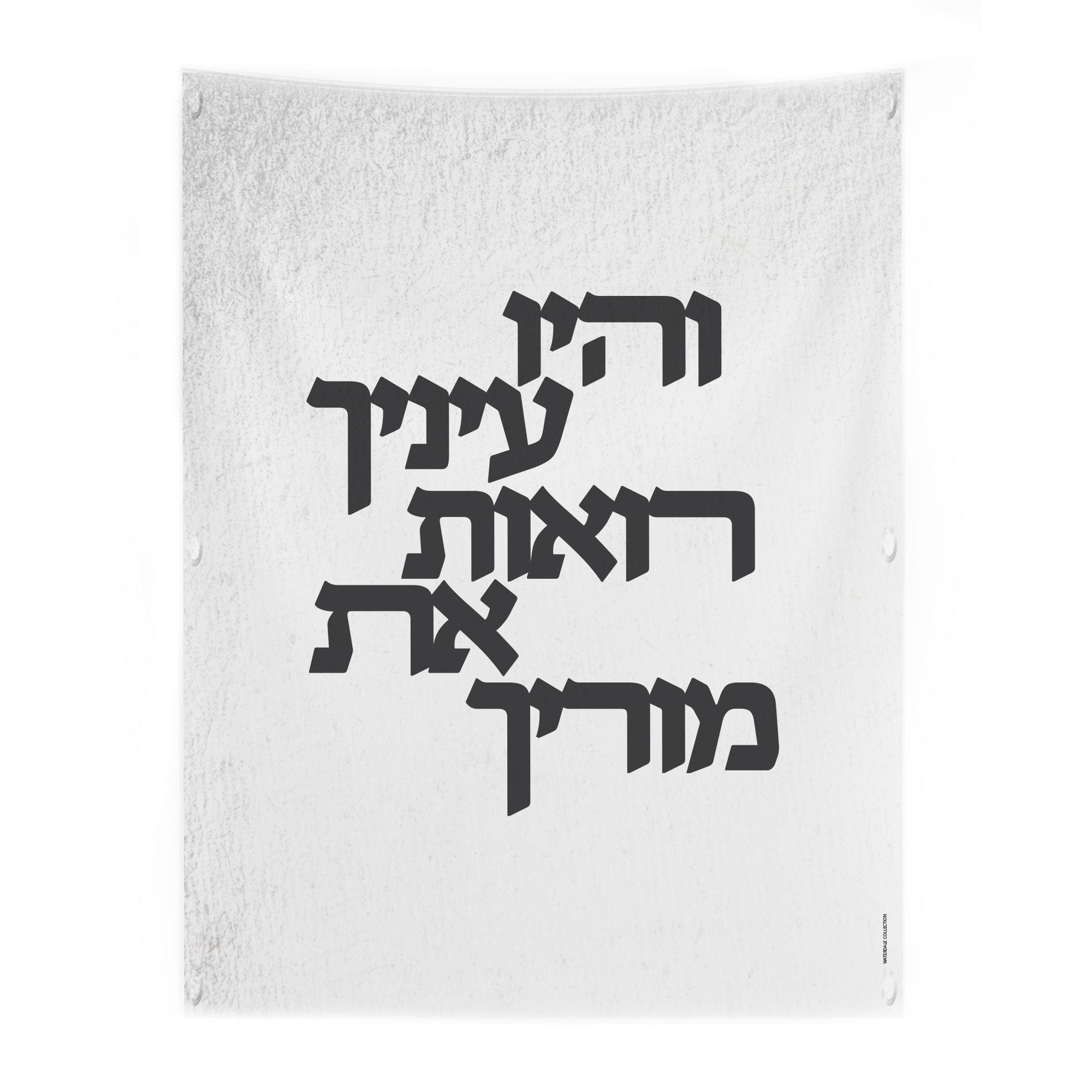Vinyl Light Gedolim Bundle — hero shot | Judaica Square Lakewood