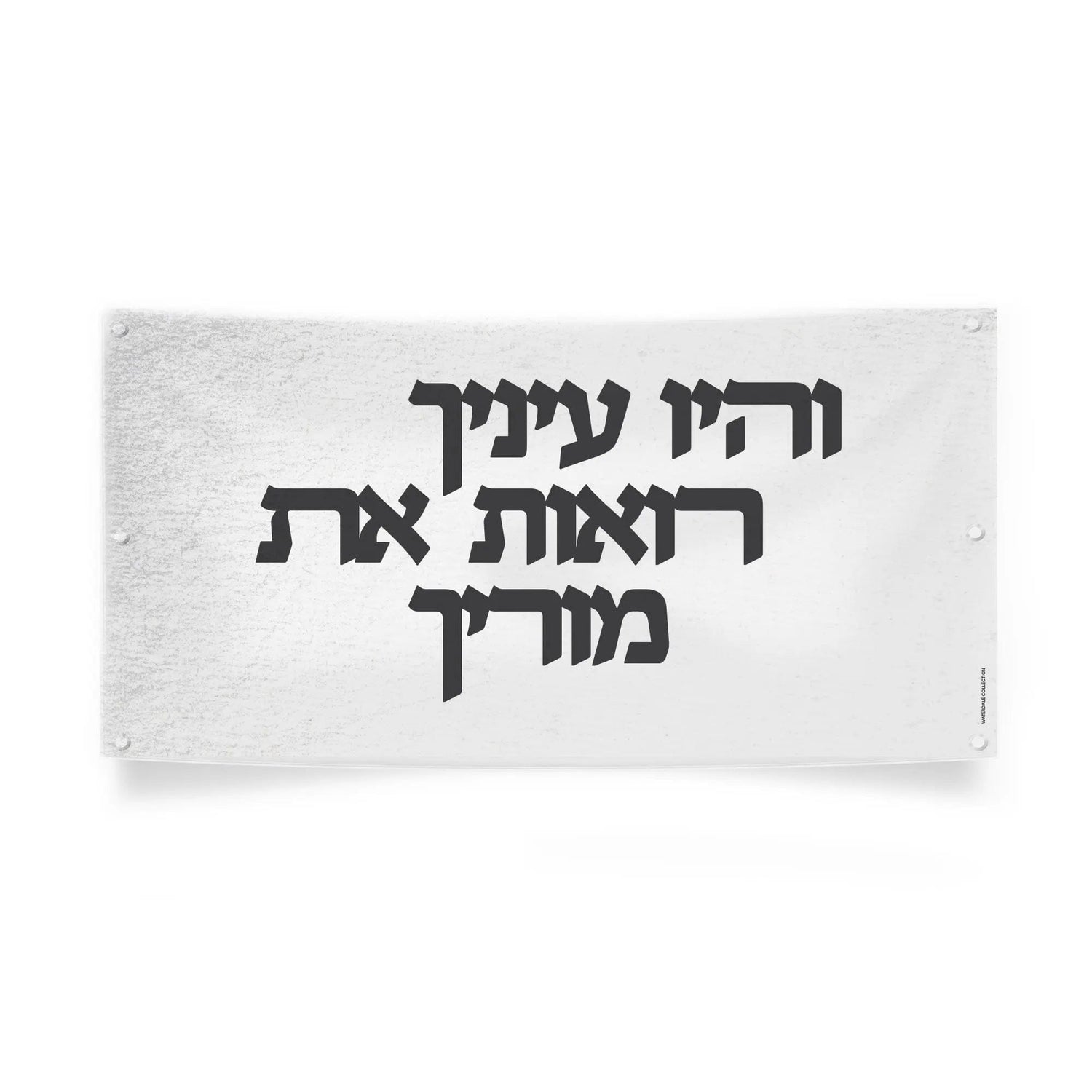 Vinyl Light Gedolim Bundle | Judaica Square Lakewood