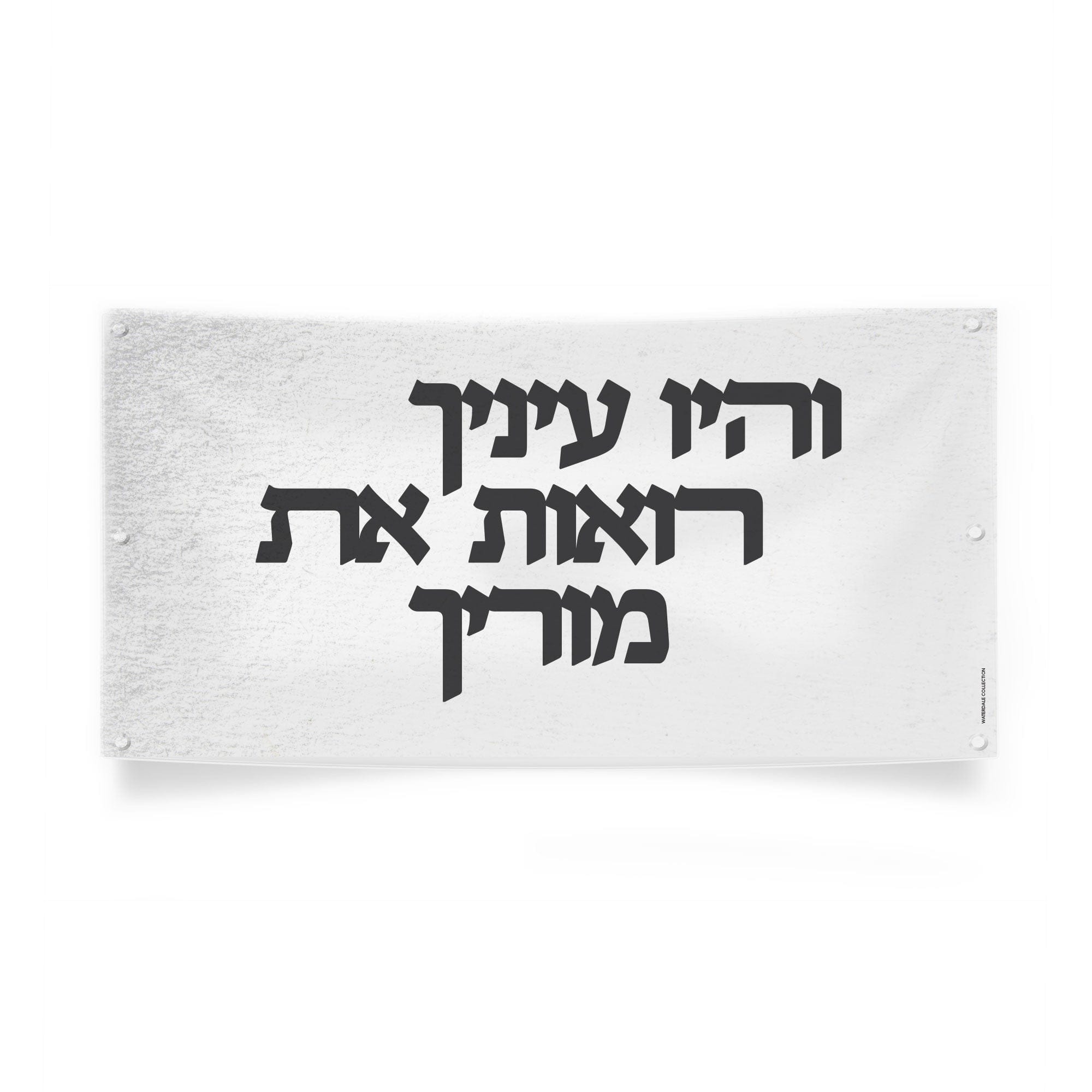 Vinyl Light Gedolim Bundle — in use | Judaica Square Lakewood