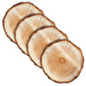 Wood Chargers — lucite Charger Plate | Judaica Square Lakewood