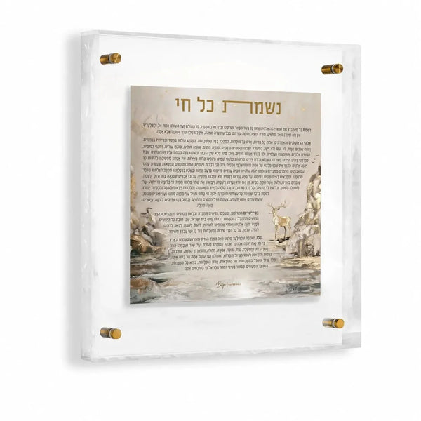 Waterdale Nishmas Kol Chai Wall Art — Pearlstone Lucite, 12 × 12 in | Judaica Square Lakewood