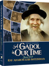 Front cover of Libby Lazewnik's 208-page hardcover of Rav Aharon Leib Shteinman stories for children